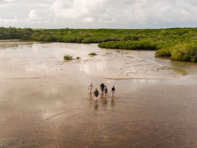 Southern Cross Cultural Tour, Dampier Peninsula