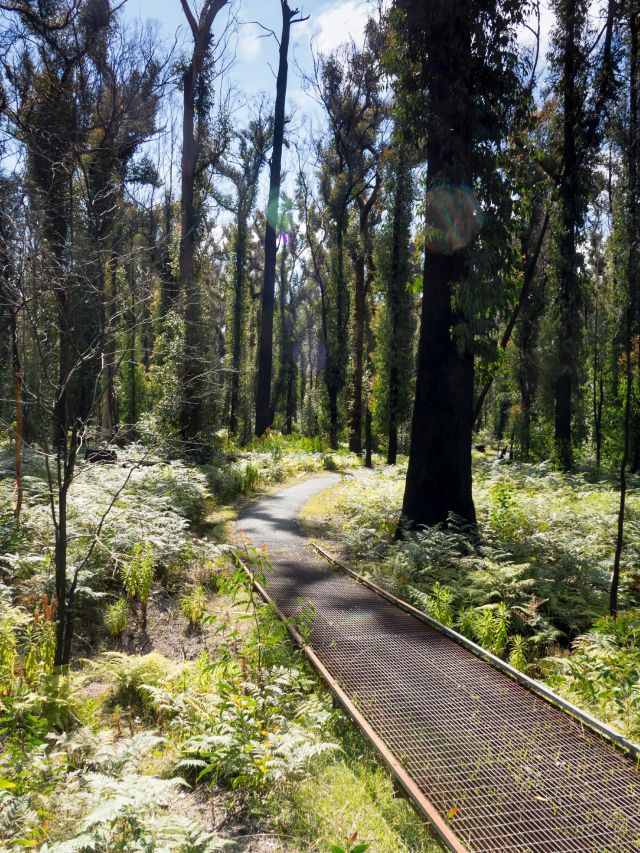The Bungoona Walk in Bald Rock National Park, NSW