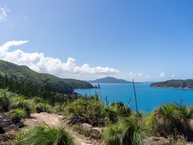 a hiking trail on Hamilton Island