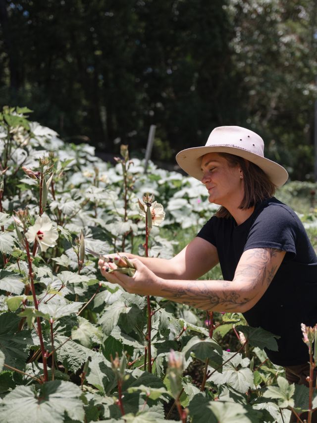 Michelle Kuramochi of Raven Place