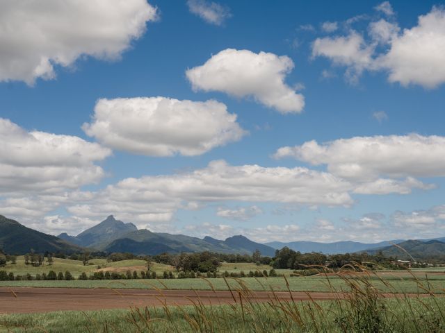 the magical vistas of Wollumbin
