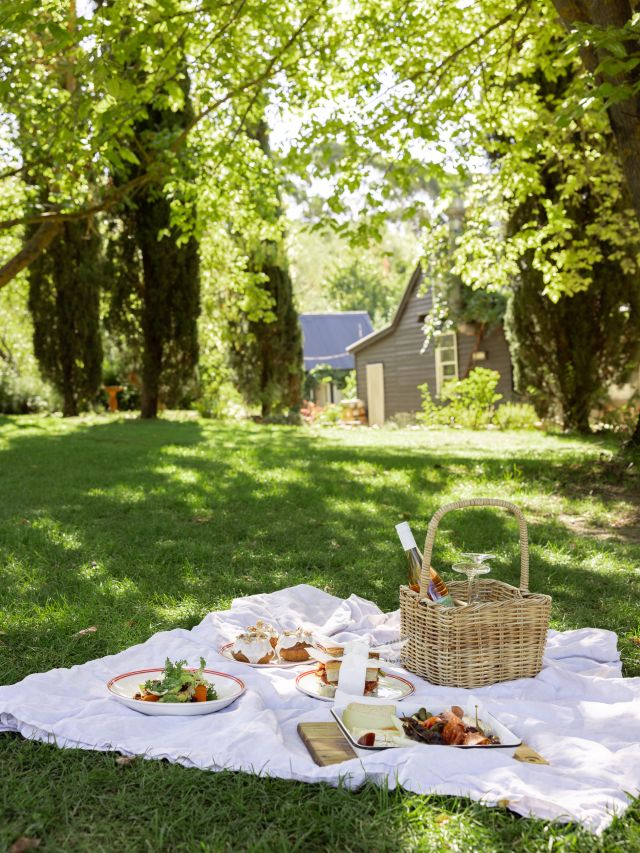 picnic lavandula farm