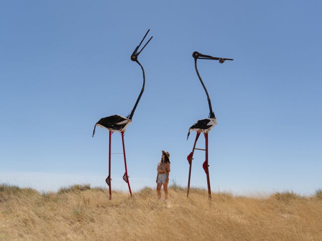 the Lake Dunn Sculpture Trail