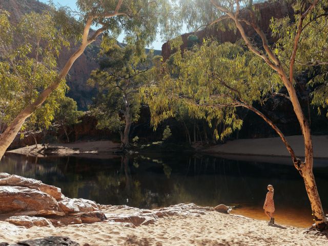 woman standing at Ormiston Gorge