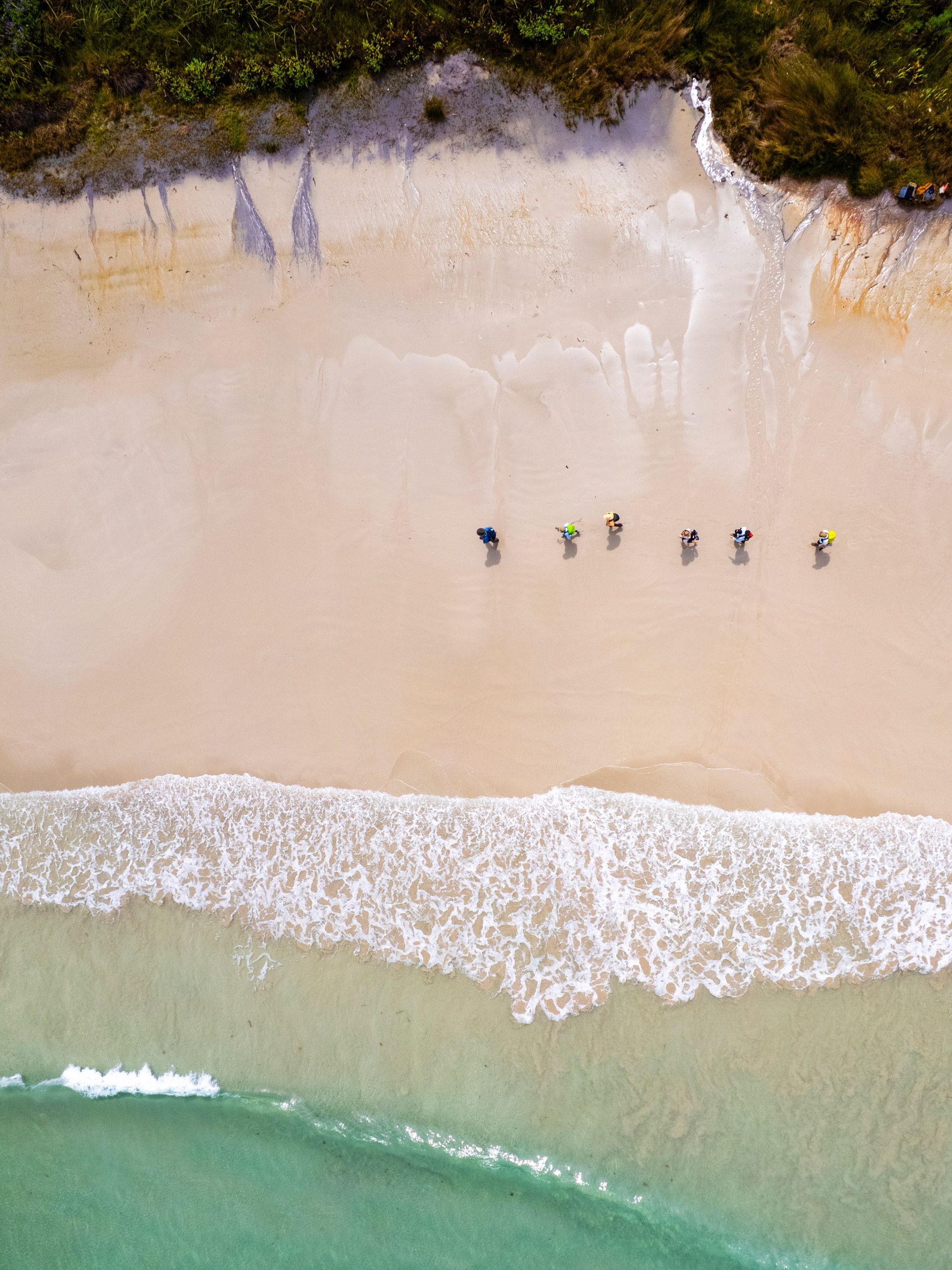 hikers in formation along the shore