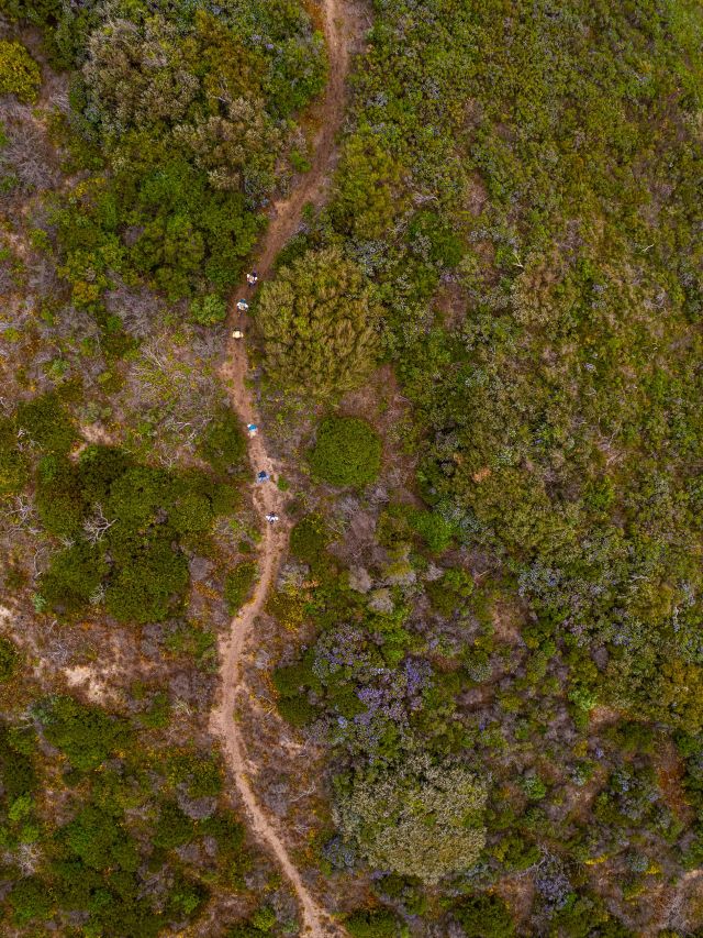 WA's Bibbulmun Track from above