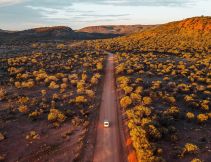 the desert scrub in the Red Centre from above