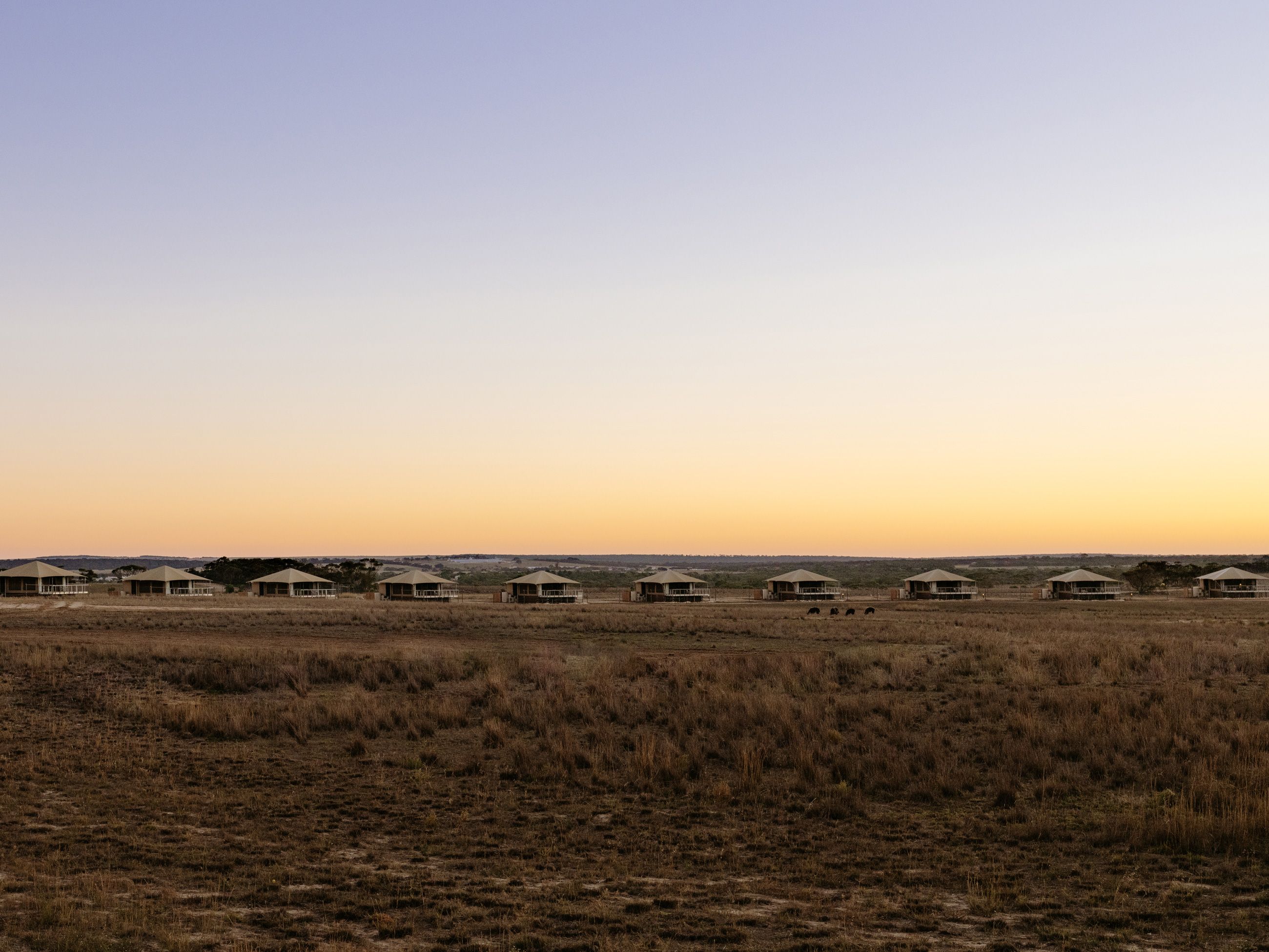 Safari Lodge at Monarto Safari Resort