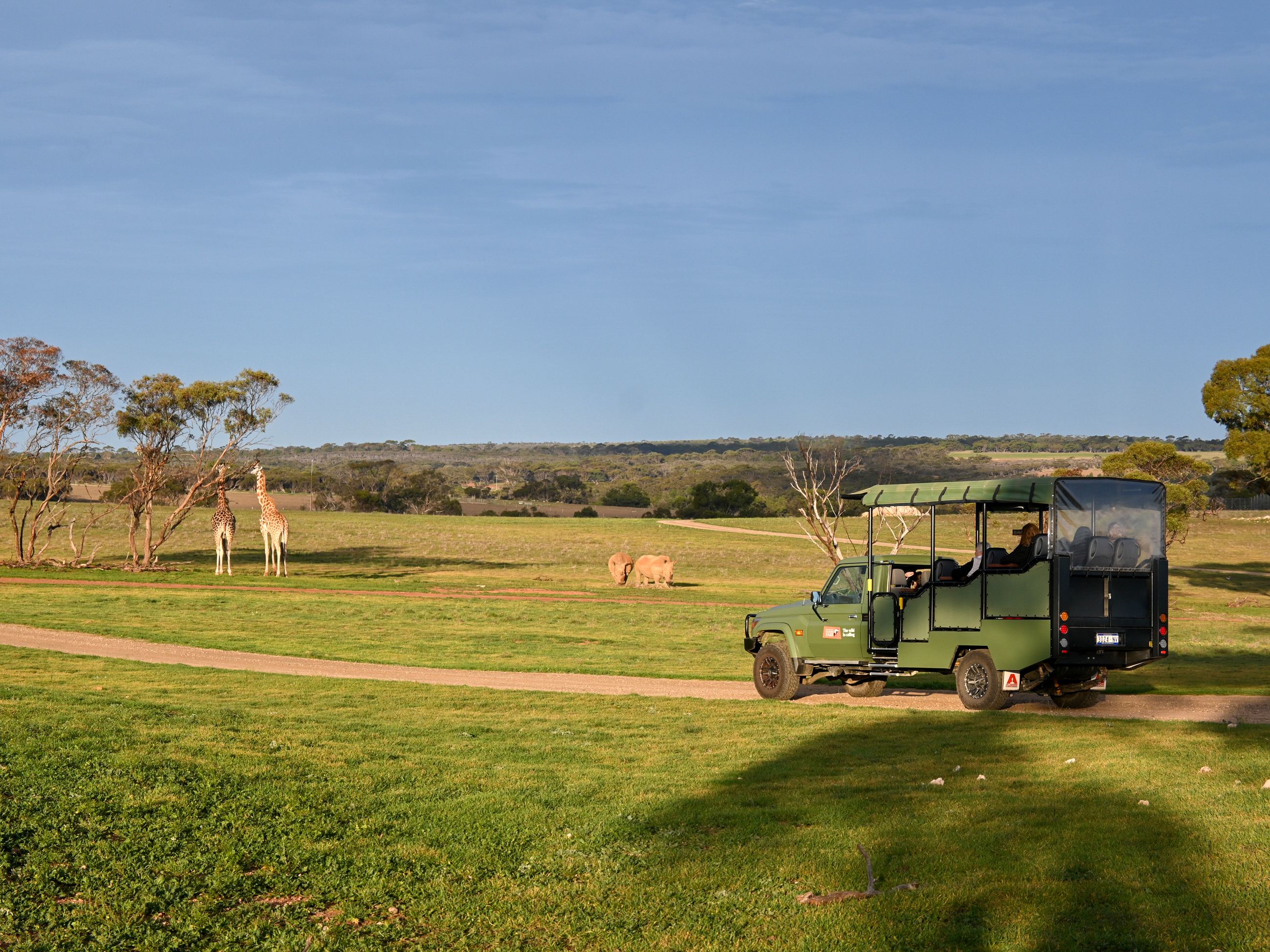 Safari at Monarto Safari Resort