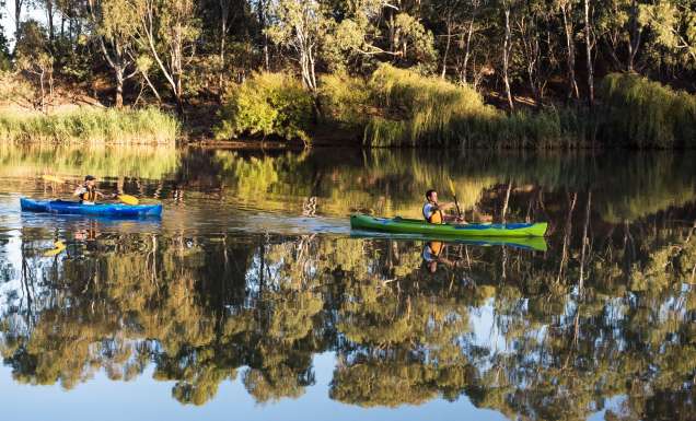 kayaking on Murray River