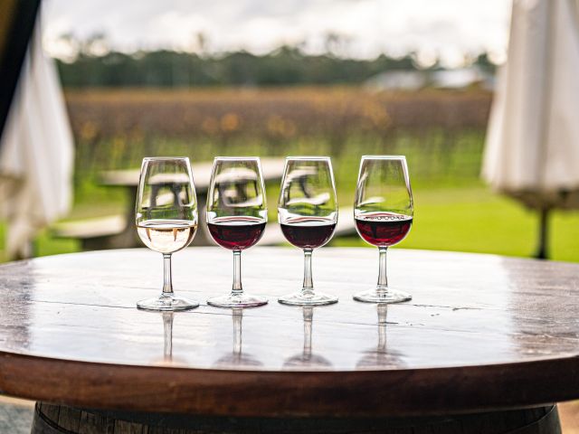 drinks at Morrisons Winery, Moama