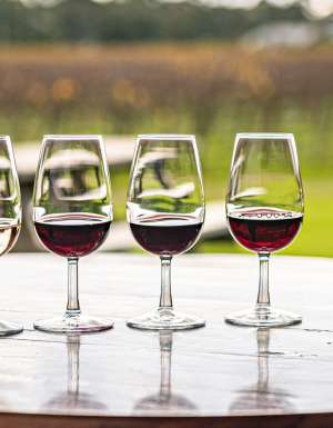 drinks at Morrisons Winery, Moama