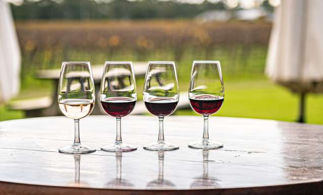 drinks at Morrisons Winery, Moama