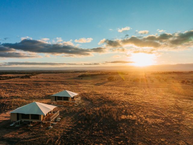 The Monarto Safari tents at sunrise