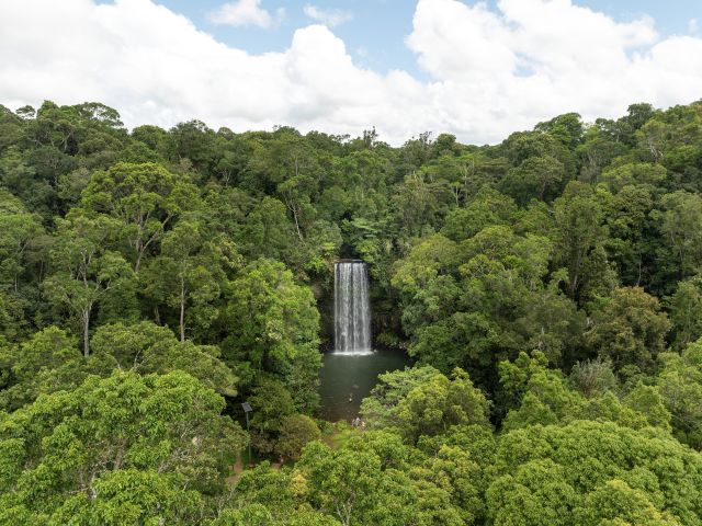 Millaa Millaa Falls surrounded by rainforest