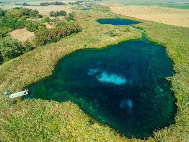 Ewens Pond, Ewens Ponds Conservation Park, SA