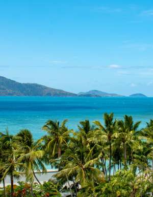 views from Reef View hamilton island