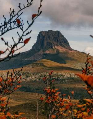 Overland Track, Barn Bluff and Fagus