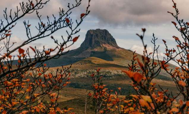 Overland Track, Barn Bluff and Fagus