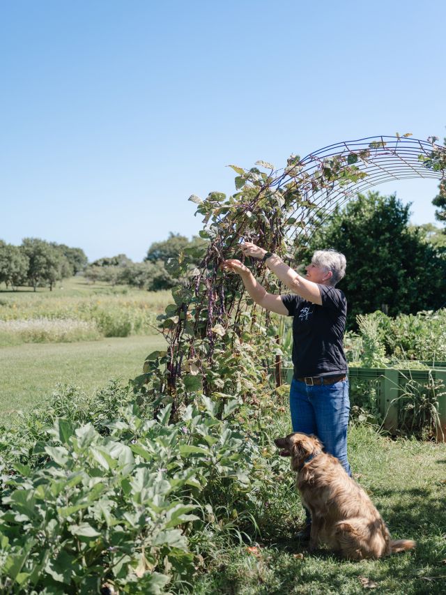 Co-owner of Farm & Co. Michele Stephens with her dog