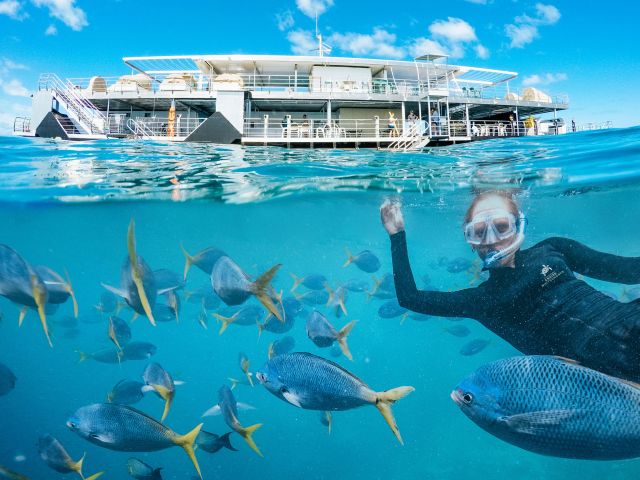 Heart Pontoon snorkeller
