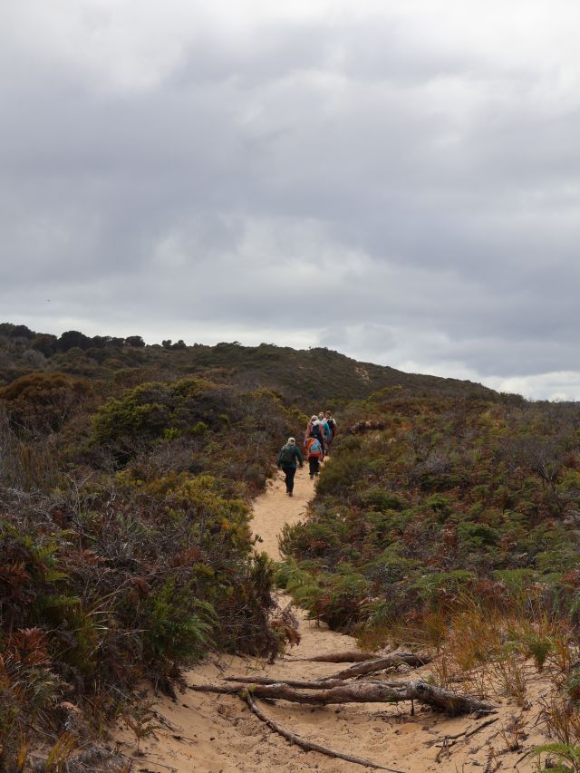 Hiking the sandy trails of Bruny Island