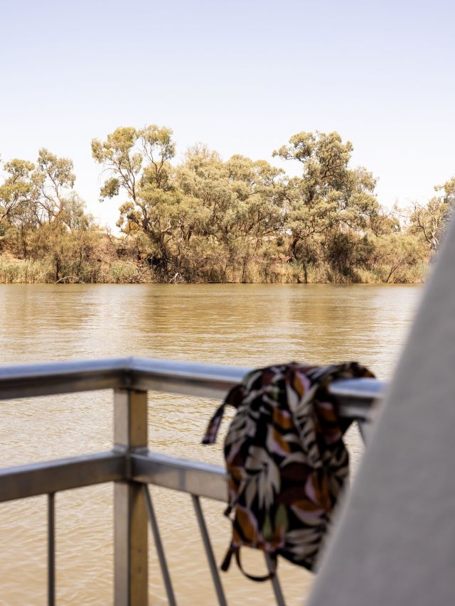 gum trees seen from the Murray River houseboat