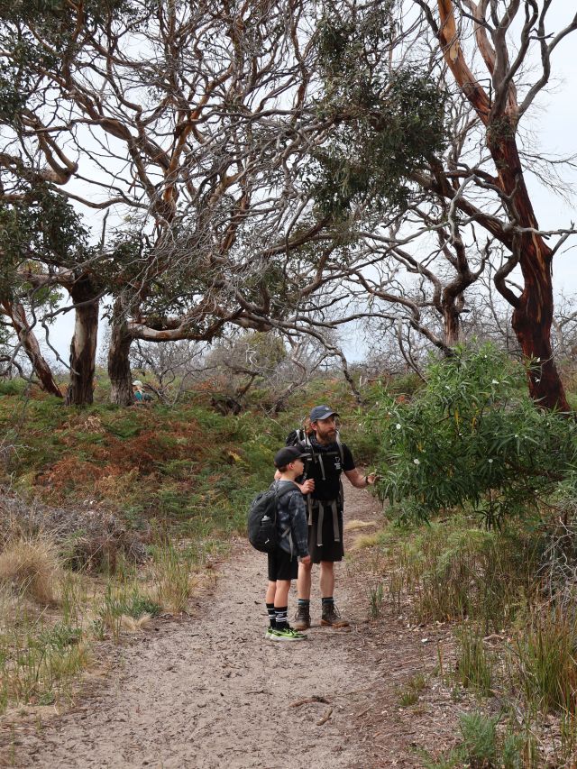 Lewis chats bushtucker with one of the guides