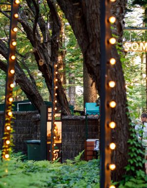 guests at Lotterywest Films as part of Perth Festival