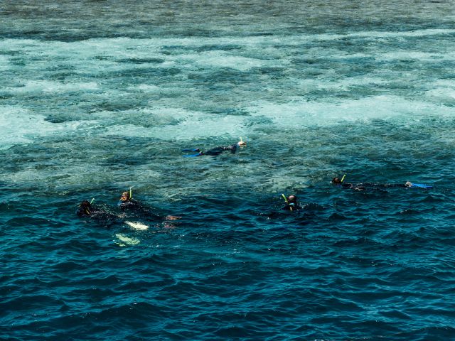 Snorkellers at Reefworld on Great Barrier Reef