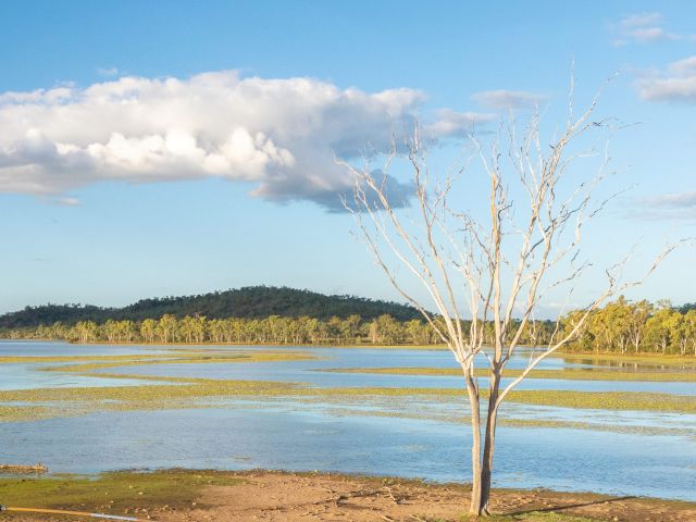 Theresa CreekDam in clermont