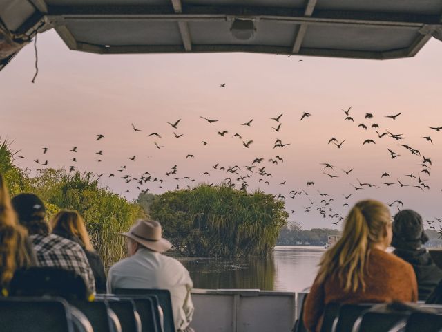 birdwatching on the Yellow Water (Ngurrungurrudjba) billabong