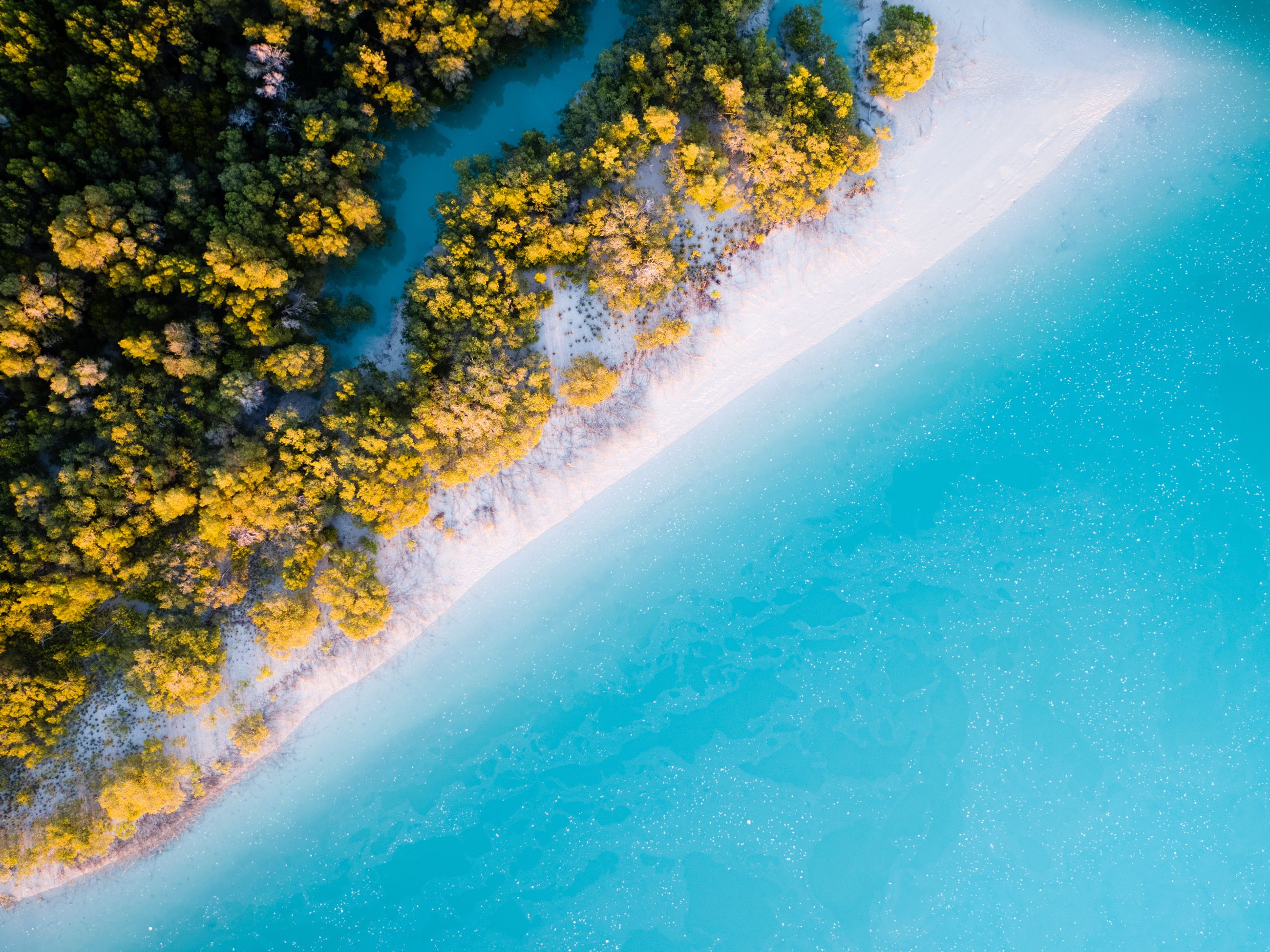 Willie Creek Broome