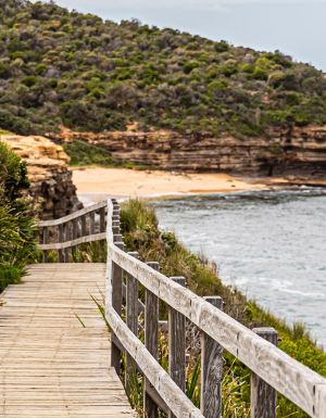 Bouddi Coastal Walk, Central Coast