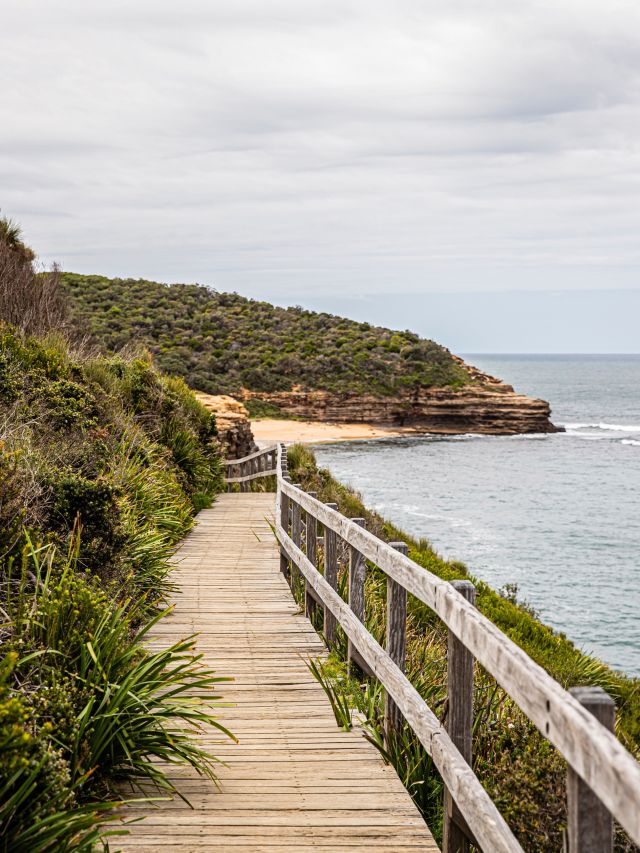 Bouddi Coastal Walk, Central Coast