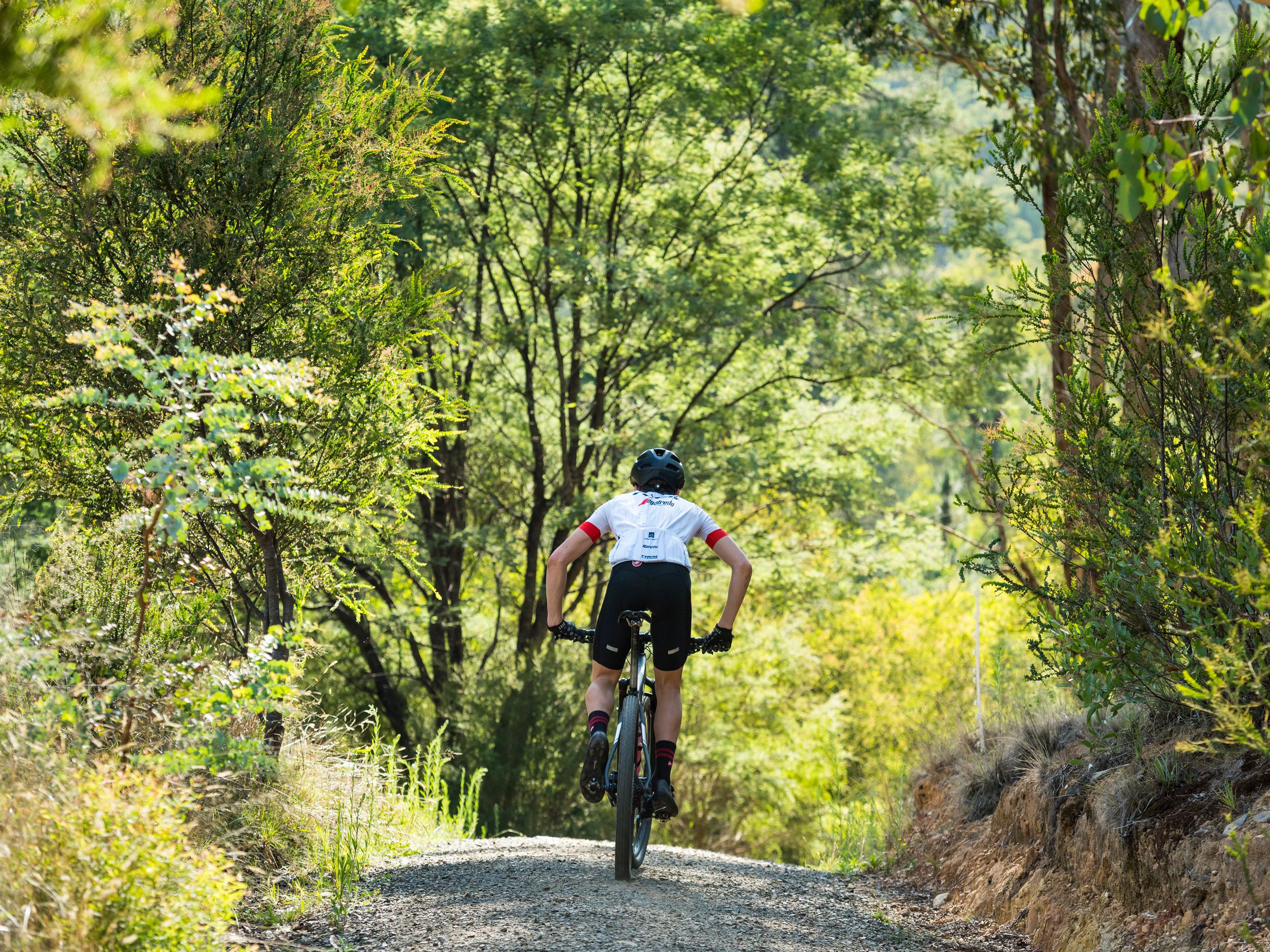 biking in Bright