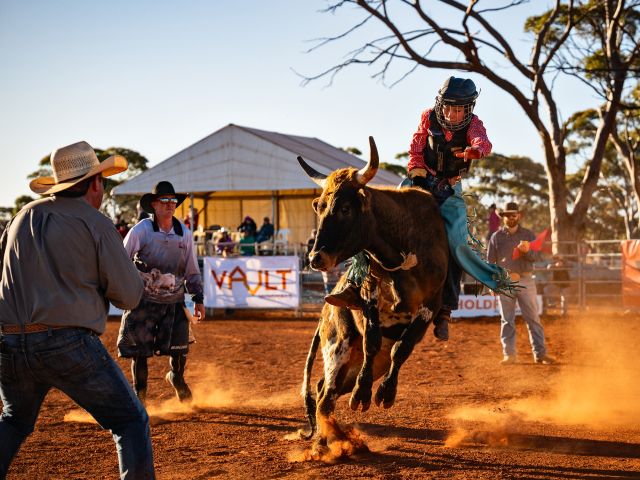 Coolgardie Festival