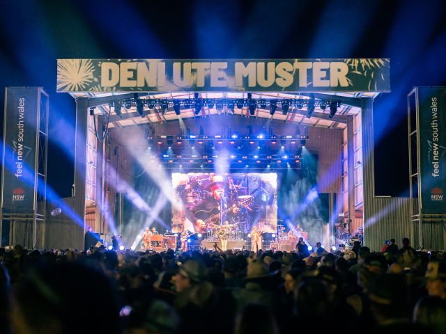 Deni Ute Muster