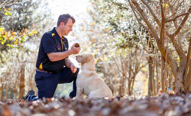 A man and a truffle-hunting dog with a truffle