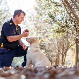 A man and a truffle-hunting dog with a truffle