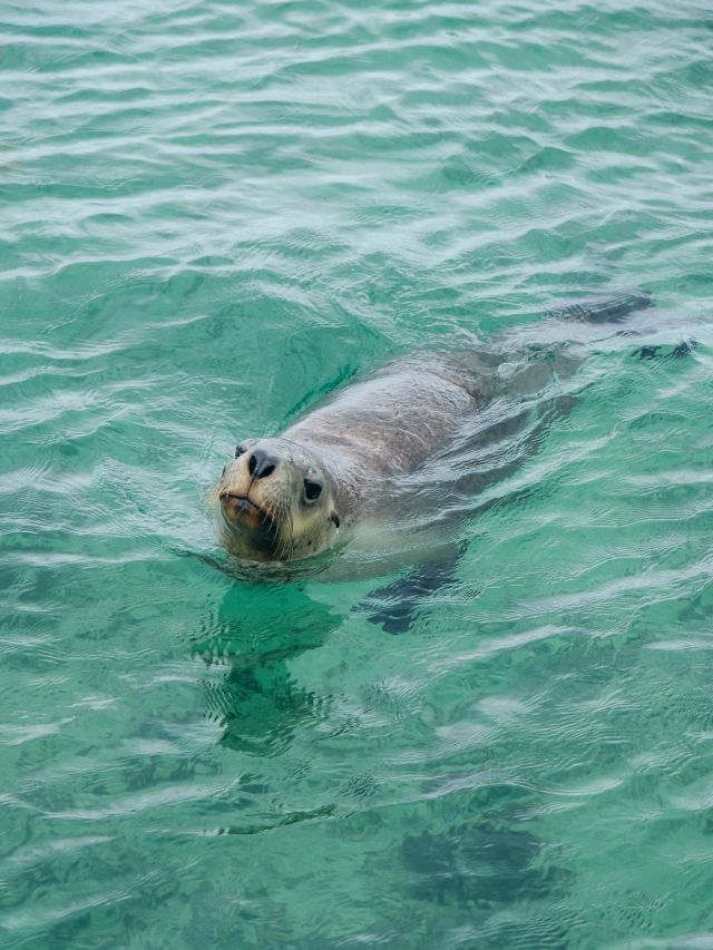 Abrolhos Islands