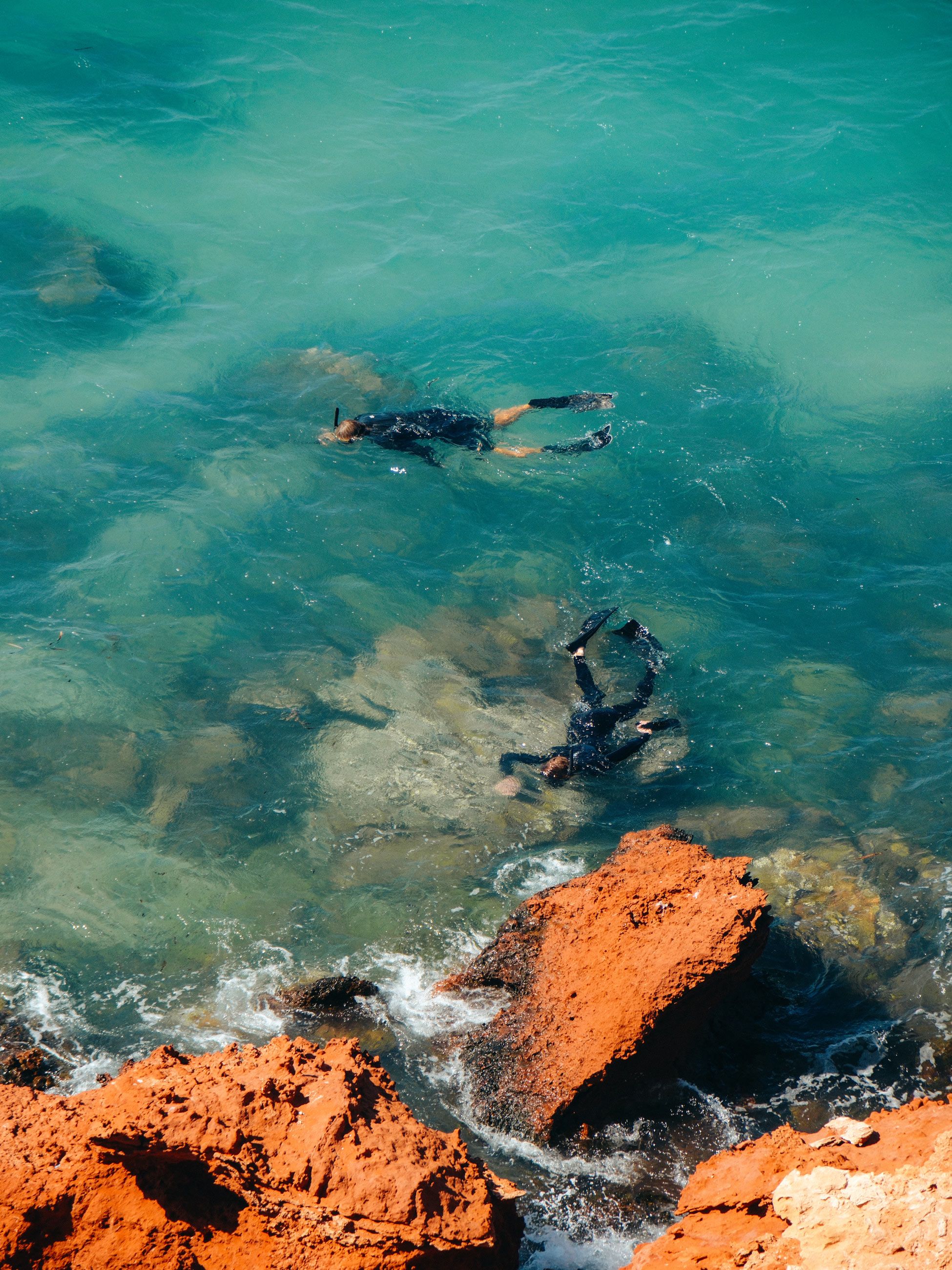 snorkellers