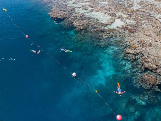 snorkelling at Great Barrier Reef