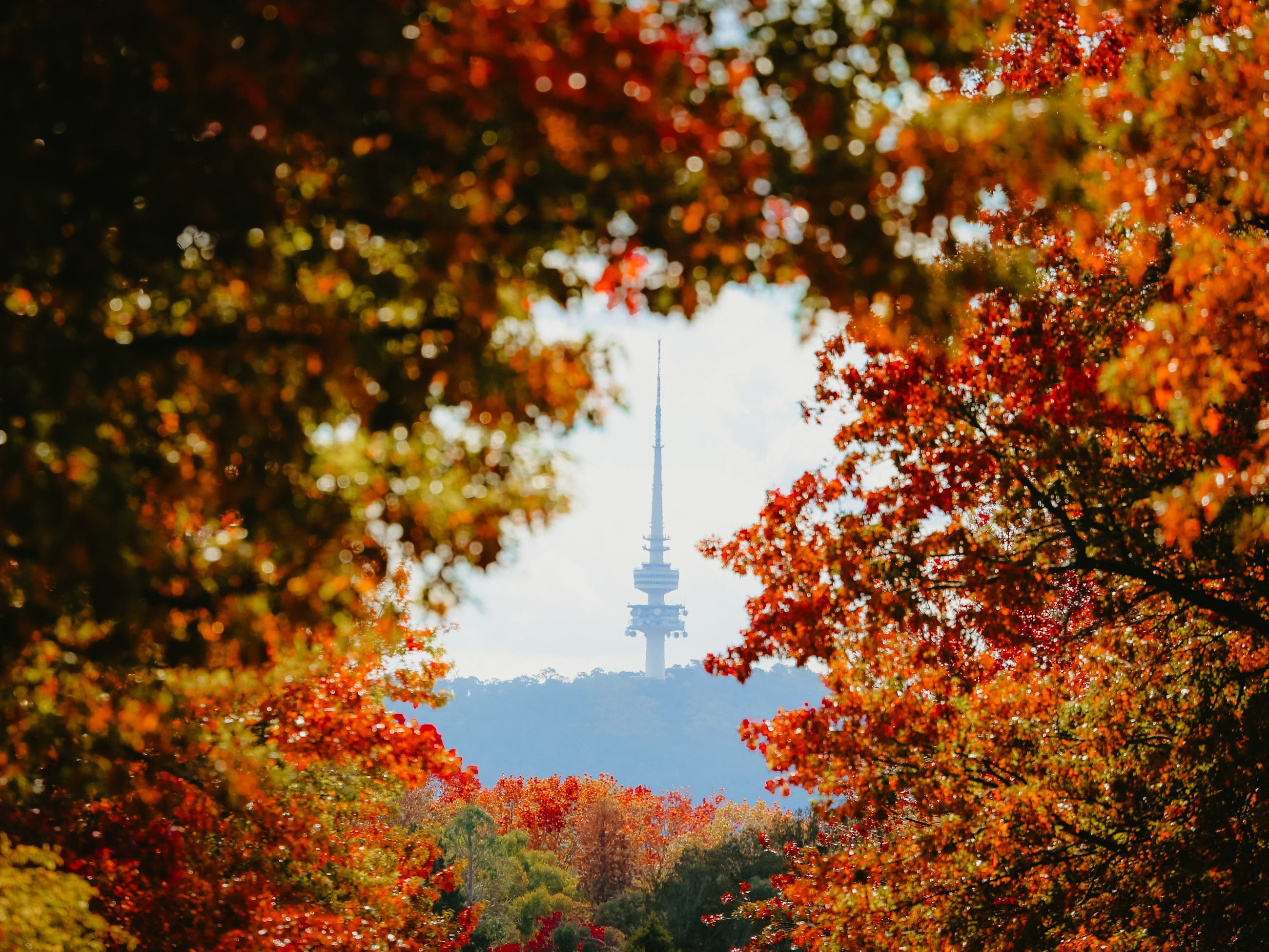Telstra Tower