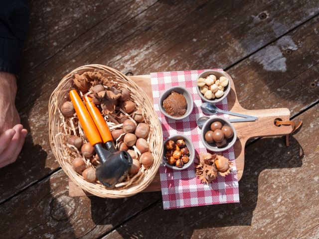hazelbrae hazelnuts tasmania