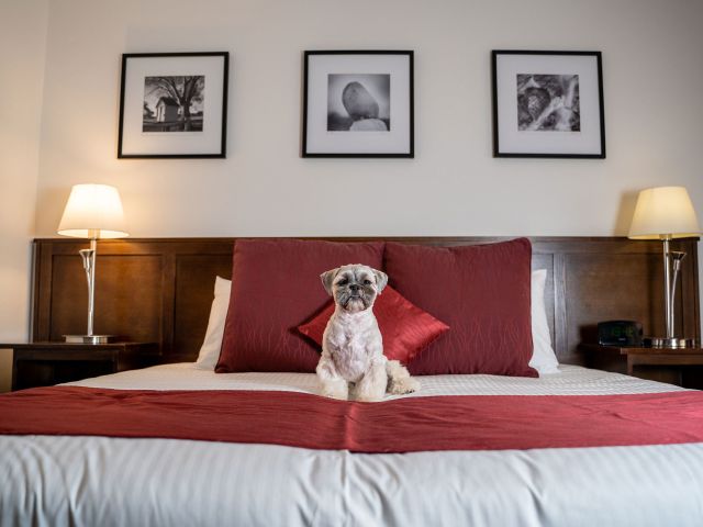 mercure canberra bedroom