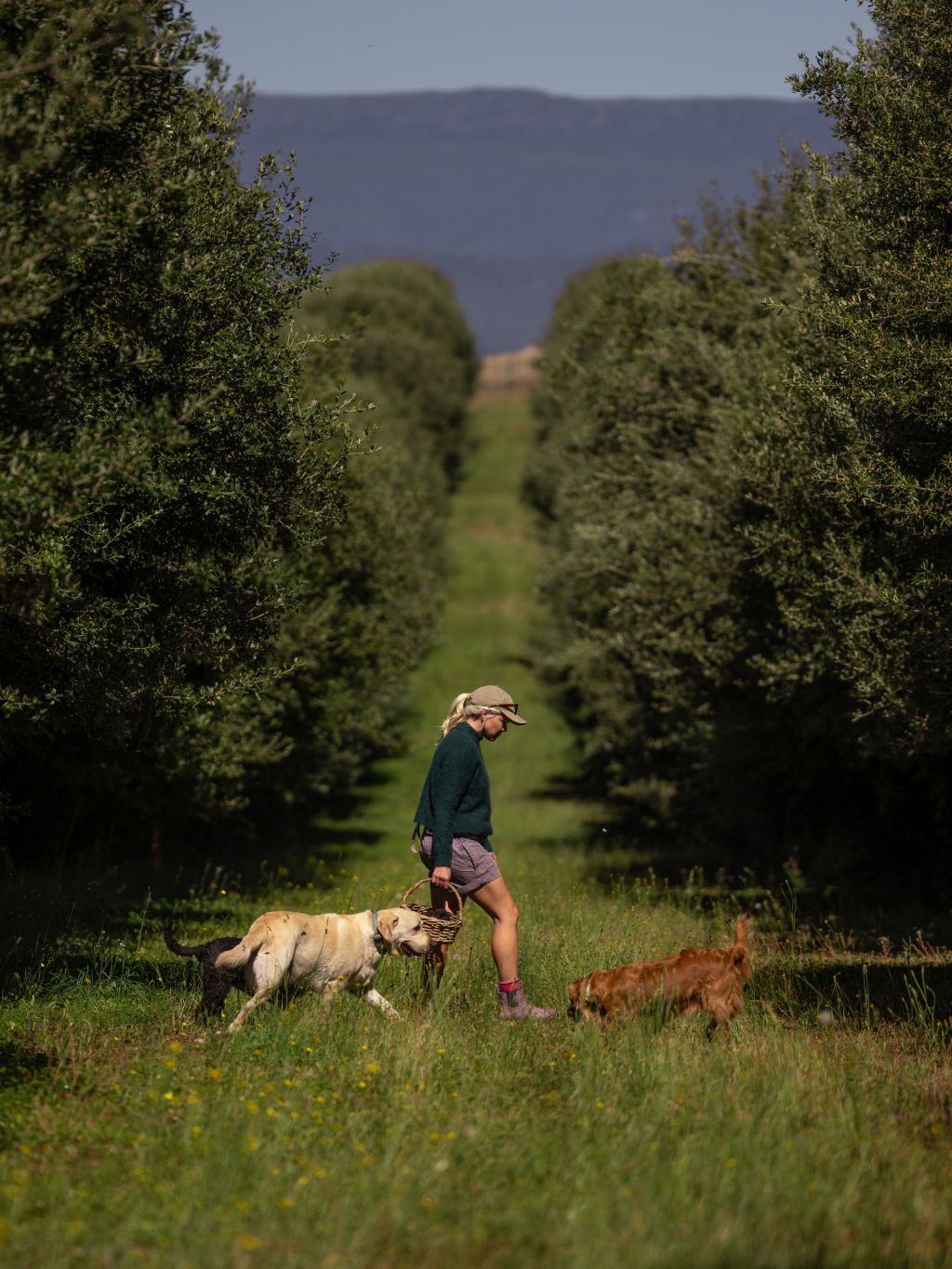 The Truffle Farm tasmania
