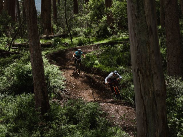 Falls Creek mountain biking
