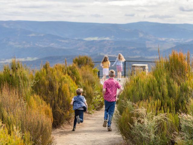 Blue Mountains Explorer Bus katoomba