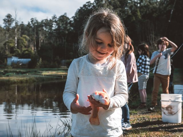 Alpine Trout Farm west gippsland